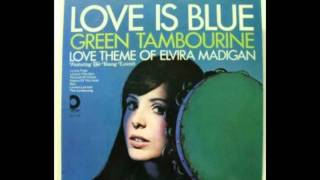 Green Tambourine by The Young Lovers