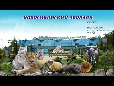 Новосибирский зоопарк. Памяти Р.А.Шило