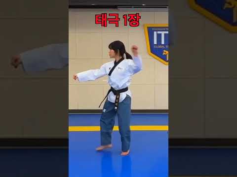 Taegeuk1 | Taegeuk IL Jang #shorts