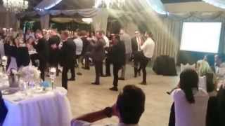 Flash Mob at Mark and Natsi's Wedding - 02 May 2015