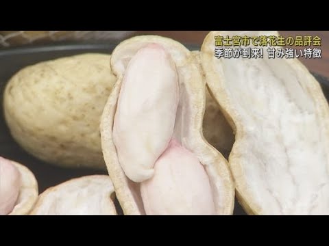 YouTube Video 「落花生」の品評会が静岡・富士宮市で行われる　「今年も甘みが強いおいしい落花生ができたよ」