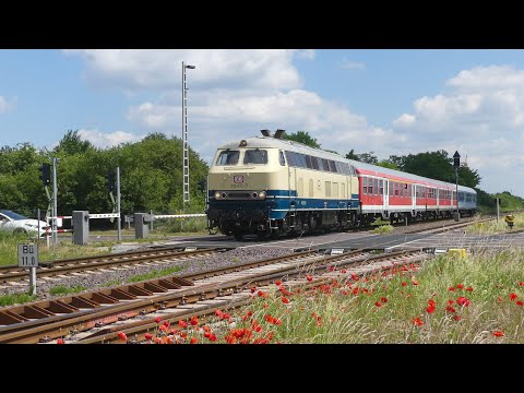 Führerstandsmitfahrt Wernigerode - Halberstadt mit 218 472; Ersatzverkehr RE21 (9-Euro-Ticket)