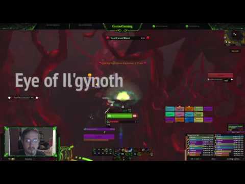 WOW Soul Assassins Normal Emerald Nightmare Il'gynoth Kill
