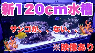 【海水魚動画】旧120cm水槽と新120cm水槽の比較をこの1本で！120cm水槽の逆襲はここから始まる＃228
