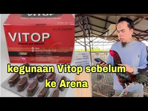 Antoni's tip, just give it vitop before going to the arena