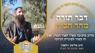 מדוע בחנוכה מאיר האור הגנוז, ואיך זה קשור לסוגיית הגיוס? | הרב אלישע וולפסון  (ישיבת הר הבית) - התמונה מוצגת ישירות מתוך אתר האינטרנט יוטיוב. זכויות היוצרים בתמונה שייכות ליוצרה. קישור קרדיט למקור התוכן נמצא בתוך דף הסרטון