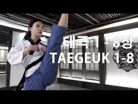 All Taegeuk Poomsae 태극 품새 전체 1-8장