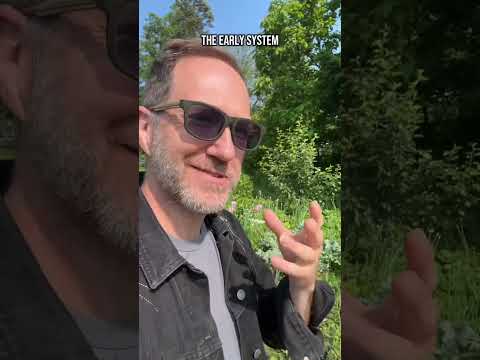 Why Food Forests DON’T Work