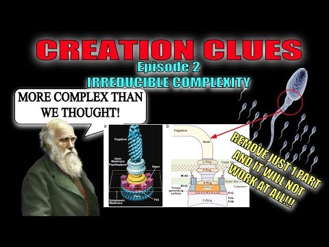 CREATION CLUES (EPISODE 2: IRREDUCIBLE COMPLEXITY) Video