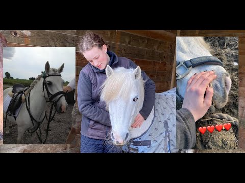 Cocos sidste dag d. 04.03.2021, sov sødt. Mindevideo til ære for Coco