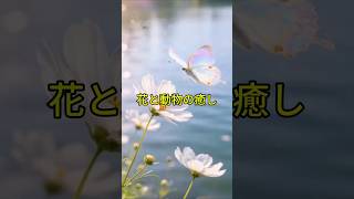 花と動物の癒し