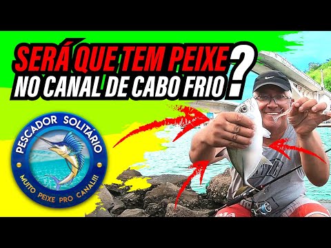 SERÁ QUE TEM PEIXE NO CANAL DE CABO FRIO? PESCARIA COM JIG HEAD, SUPORTE HOOK e SISTEMA DOWN SHOT