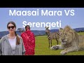 MAASAI MARA Or SERENGETI Which One Is Better For An African Safari Safari Travel Guide