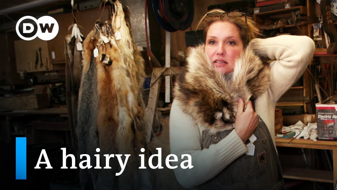 Using roadkill for fashion