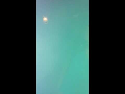 Bryan Diaz - Incredible Freestyle