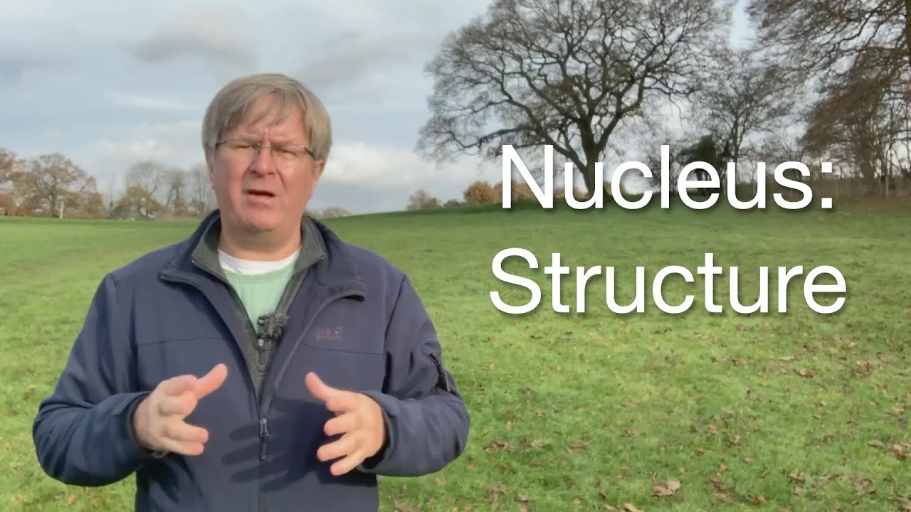 Understanding the Nucleus: Structure and Function | Cell Biology Explained