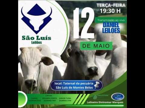 São Luis de Montes Belos - GO   12/05/2026