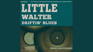 Evans Shuffle (feat. Muddy Waters)