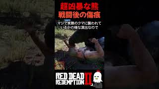【RDR2】こんなに熊を作りこんでいるゲームある？超凶暴な熊との戦闘後がヤバ過ぎる【レッドデッドリデンプション2】