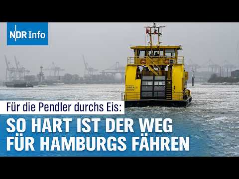 Eis auf der Elbe: Wie die HADAG-Fähre Hamburgs Pendler bis nach Finkenwerder bringt | NDR Info