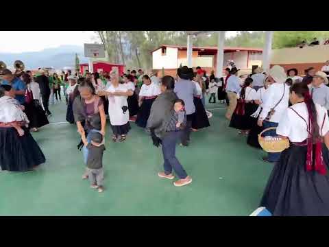 Recepcion de Bandas  Tamazulapam del Espiritu Santo Mixe Oaxaca  2024 en Honor al Espiritu Santo