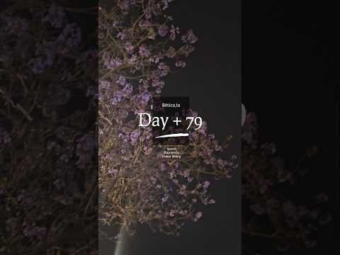 2025 Spain : Day + 79