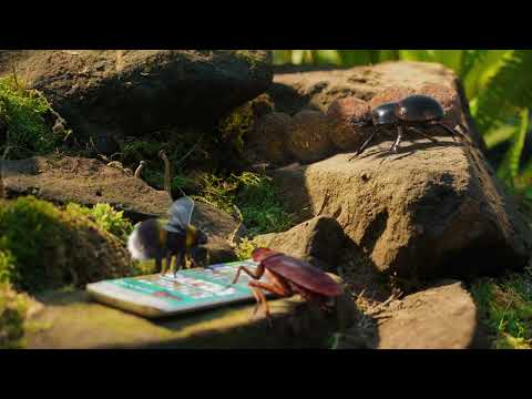 Video preview