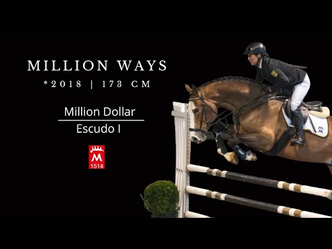 MILLION WAYS *2018 v. Million Dollar - Escudo I