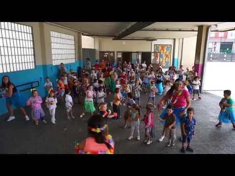 Festa Hawaiana 2de2 Escolas Verán Xiria 2017
