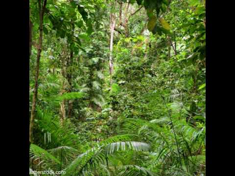 Haus hr 40+ shit Internet gang