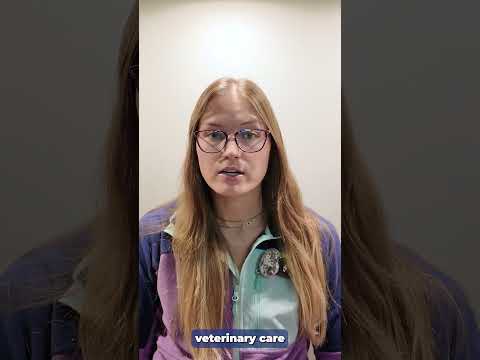 RexVet - Online vets 24/7