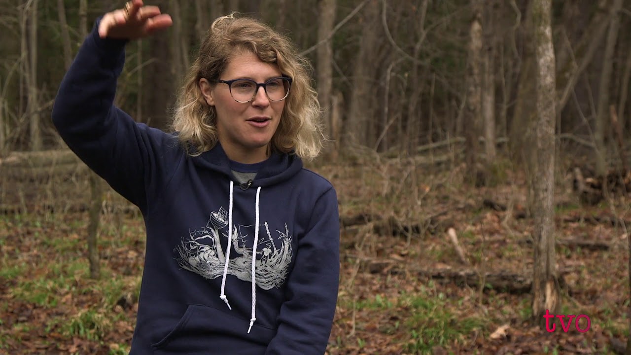 The Rise of Forest Schools