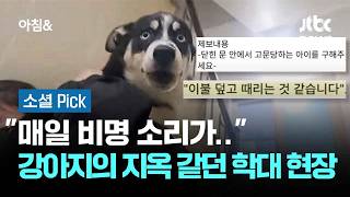 매일 비명 소리가… 5개월 강아지의 지옥 같던 학대 현장 #소셜픽 / JTBC 아침&