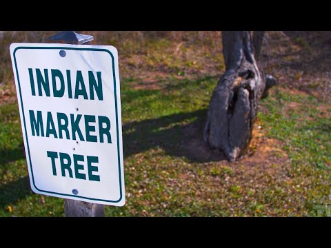 Comanche Marker Trees (Texas Country Reporter) - YouTube