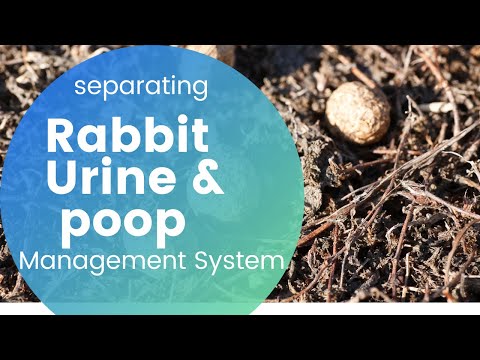, title : 'HOW TO SEPARATE HAY & RABBIT MANURE & URINE. EASY SET UP'