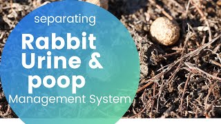 HOW TO SEPARATE HAY & RABBIT MANURE & URINE. EASY SET UP