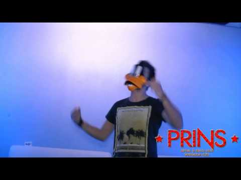 Harlem Shake Party alla Discoteca Prins!