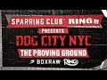 RING III SPARRING CLUB DOG CITY NYC LIVE STREAM