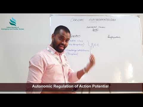 ISECN's Cardiac Electrophysiology Lecture series Part VI