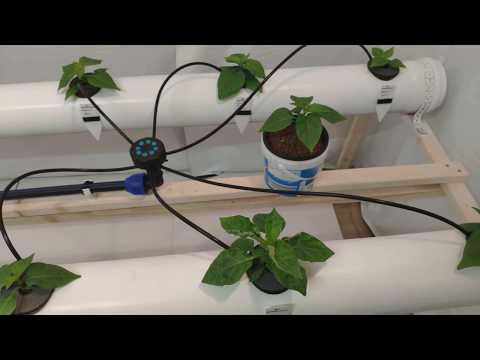 Eigenbau Hydrosystem 2019