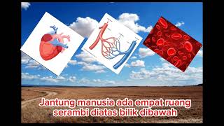 Download lagu instrumen lagu potong bebek angsa versi sistem peredaran darah manusia mp3 Download lagu instrumen lagu potong bebek angsa versi sistem peredaran darah manusia mp3