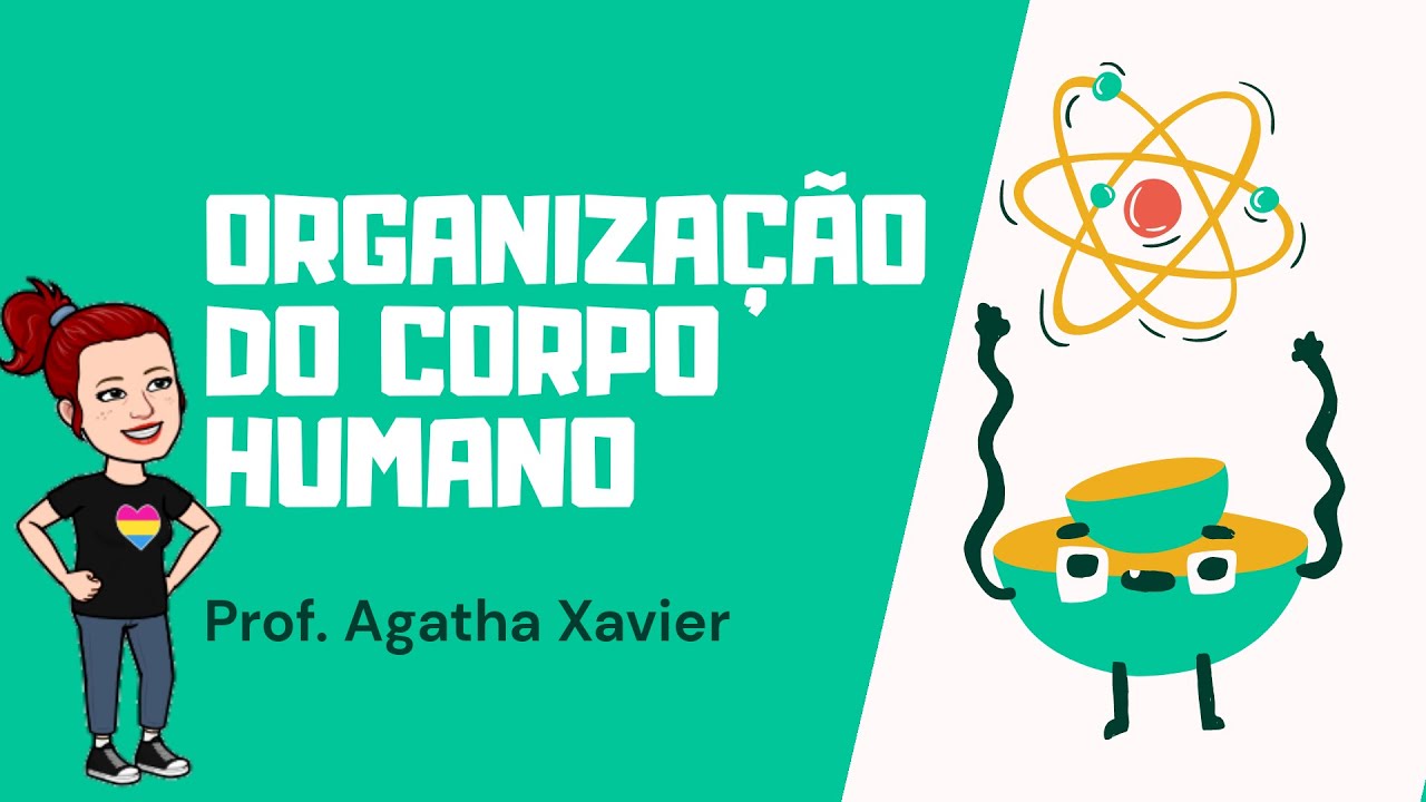 Organização do corpo humano