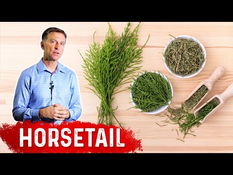 The Top 3 Best Gallbladder Herbs