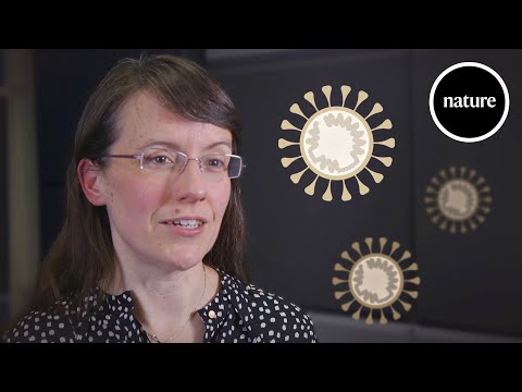 科學家如何對抗冠狀病毒。三分鐘指南 (How scientists are fighting the coronavirus: A three minute guide)