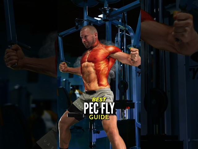 Pec Deck (Machine Fly) video thumbnail