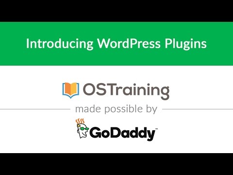 WordPress Beginner Tutorial 18 Introducing WordPress Plugins
