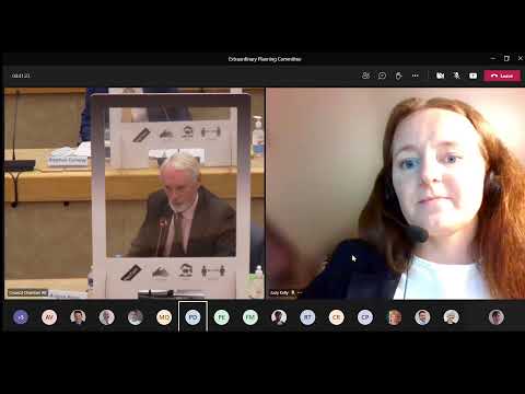 Extraordinary Planning Committee