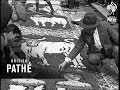 The World Famous Flower Carpets Of Genzano 1933