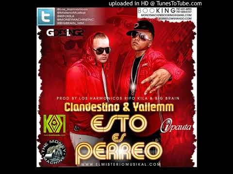 ESTO ES PERREO CLANDESTINO & YAILEMM (PROD. BY LOS HARMONICOS, RIFO KILA & BIG BRAIN)