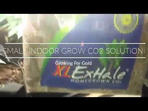 download lagu mp3 mp4 Co2 Bags Home Depot, download lagu Co2 Bags Home Depot gratis, unduh video klip Co2 Bags Home Depot